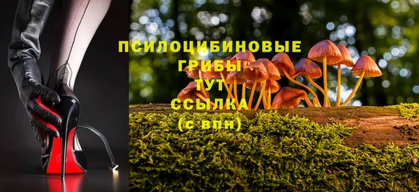 дурь Алзамай