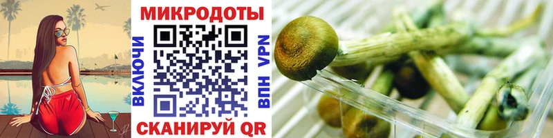 Псилоцибиновые грибы мицелий  Бирюч 