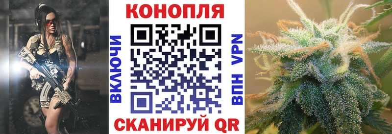 продажа наркотиков  Бирюч  Конопля тримм 
